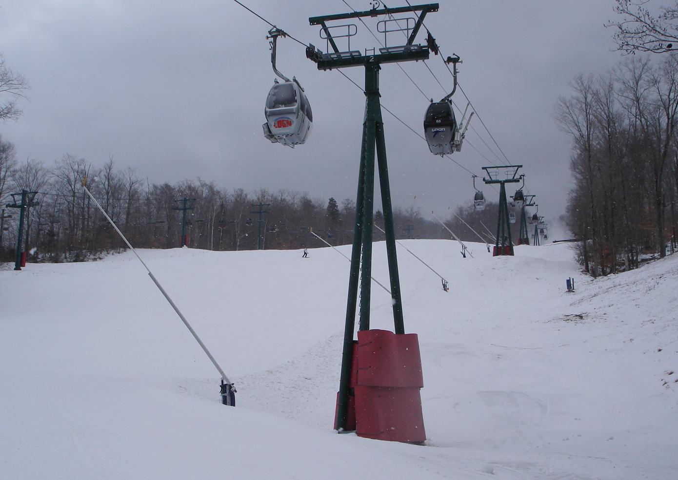 Loon-Jan 10, 2012